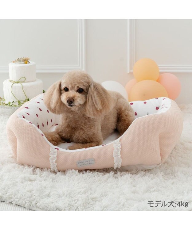 PET PARADISE ペットパラダイス いちご フリルカドラー  Ｍ 57×45cm ピンク