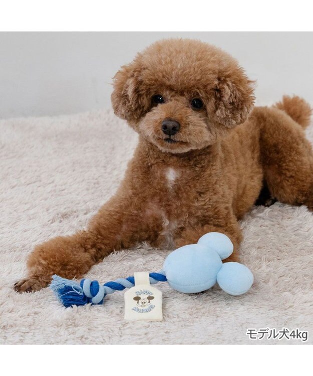 PET PARADISE ディズニー ミッキーマウス 風船ロープ トイ 《ブルー》 小型犬 ブルー