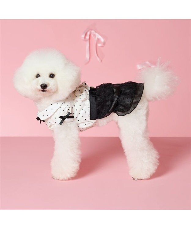 PET PARADISE cherircouture ドットシャツ ワンピース 小型犬 ホワイト×ブラック
