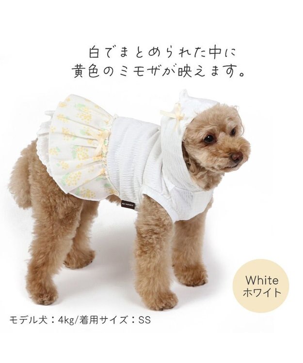 PET PARADISE 犬の服 犬 ワンピース 【小型犬】 ミモザ ホワイト グリーン ホワイト