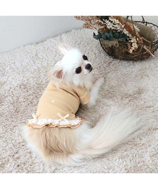 PET PARADISE ペットパラダイス ペティヒートプレミアム  Tシャツ《花刺繍柄》 小型犬 花刺繍柄