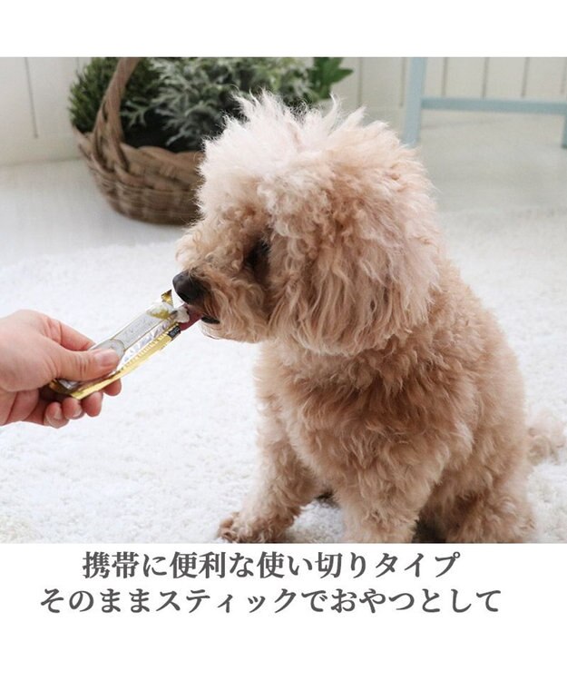 PET PARADISE リアルフードスティック プレーン 10g×8本 国産 -