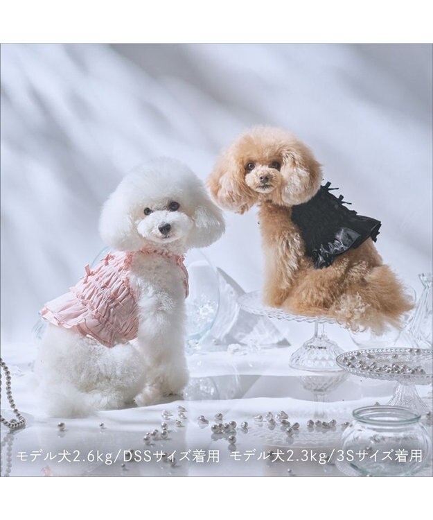 PET PARADISE cherircouture シャーリング キャミソール 《ブラック》 小型犬 ブラック