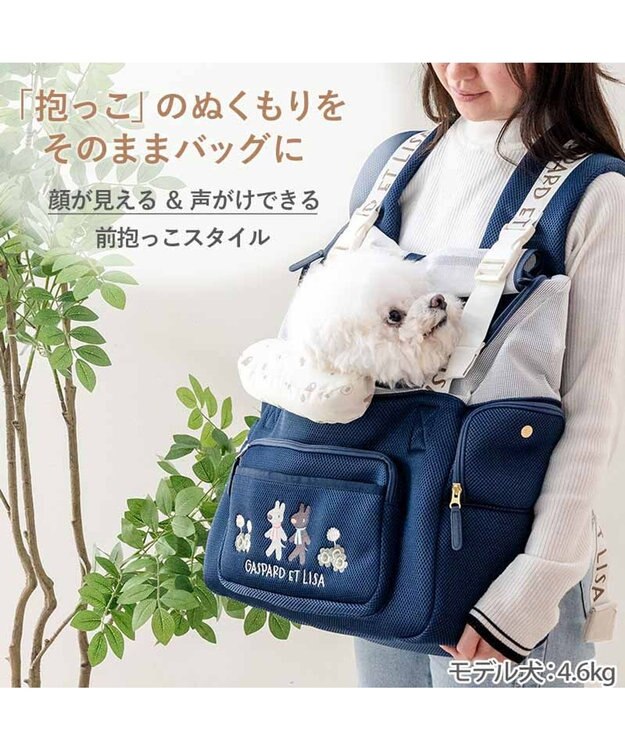 PET PARADISE リサとガスパール 優しい 抱っこハグリュックキャリーバッグ Ｌ 小型犬 ネイビー