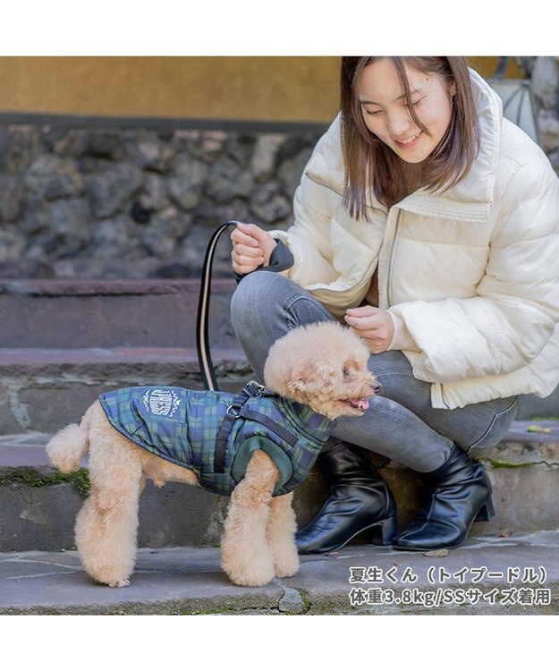 PET PARADISE J.PRESS アウター ハーネスベスト 《チェック柄》 小型犬 緑
