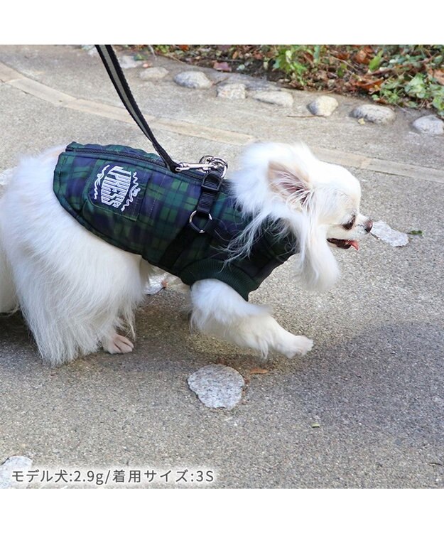 PET PARADISE J.PRESS アウター ハーネスベスト 《チェック柄》 小型犬 緑