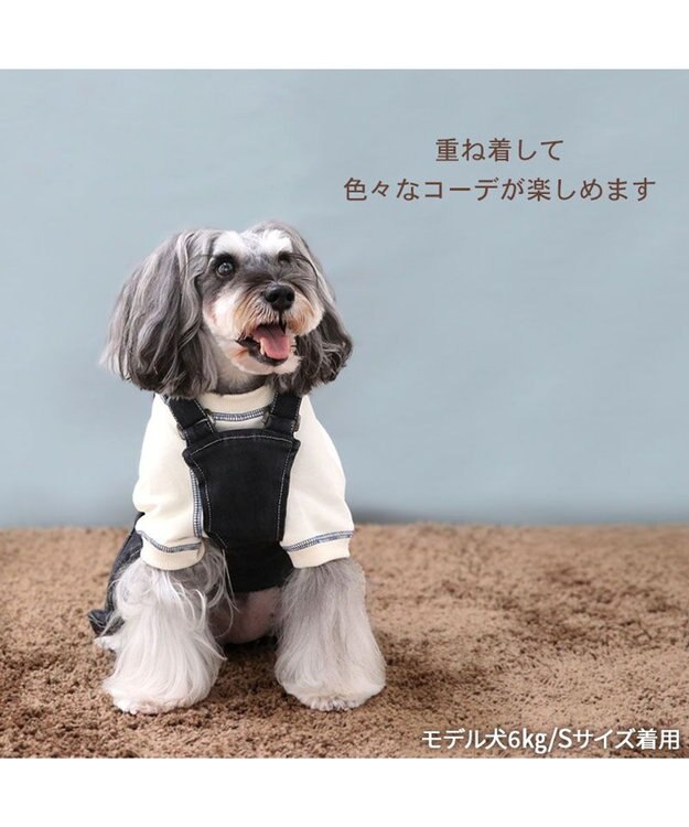 PET PARADISE Lee デニム オーバーオール 《ブラック》 小型犬 ブラック