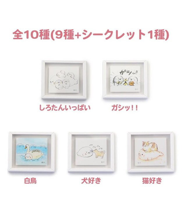 Mother garden しろたん フレームマグネット 10個セット（シークレット1種含む） お楽しみ コレクション -