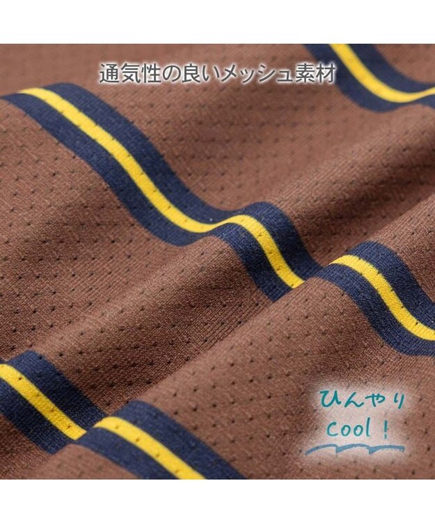 PET PARADISE ペットパラダイス ボーダー エコメイド パンツつなぎ 小型犬 ホワイト×ブラウン
