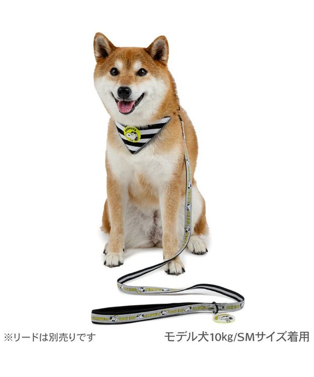 PET PARADISE スヌーピー ＪOE COOL 反射首輪 リバーシブル仕様  ＳＭ ホワイト×グレー