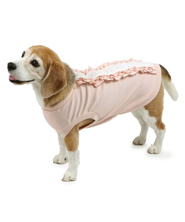 PET PARADISE ペットパラダイス プレミアム ペティヒート  レース Tシャツ 中型犬 ピンク