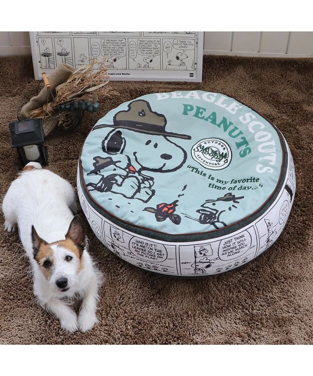 PET PARADISE スヌーピー クッション (60cm) ビーグルスカウト柄 50周年 ビーグルスカウト