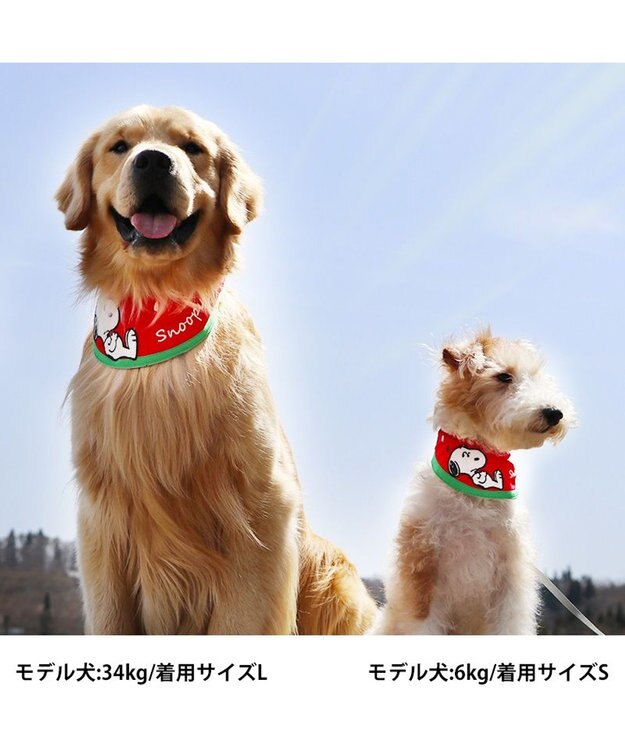 PET PARADISE スヌーピー スイカ柄 クールネック バンダナ 《保冷剤付き》【中型犬】【大型犬】 赤