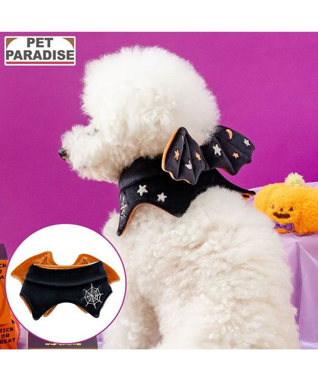 PET PARADISE ペットパラダイス コウモリチョーカー 小型犬 ブラック
