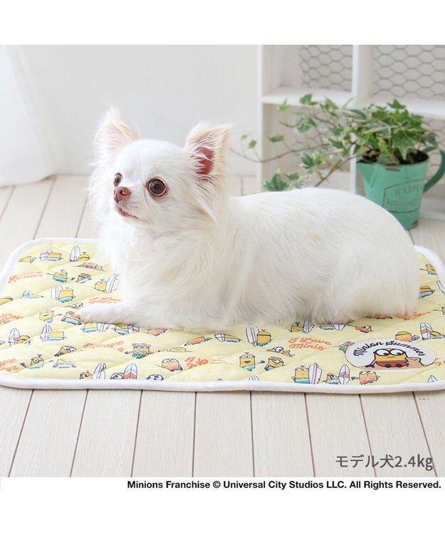 PET PARADISE ミニオン ボブ クール マット 《ビーチ柄》 小型犬 48×40㎝ ビーチ柄