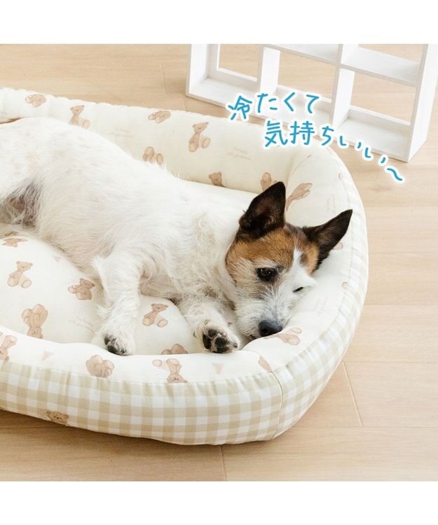 PET PARADISE ペットパラダイス くまさん クールカドラー 《アイス柄》 Ｌ ホワイト