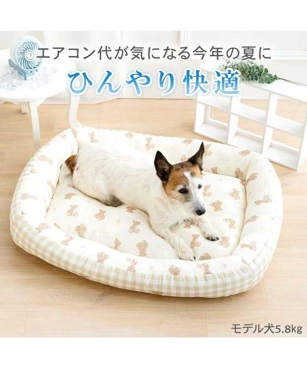 PET PARADISE ペットパラダイス くまさん クールカドラー 《アイス柄》 Ｌ ホワイト