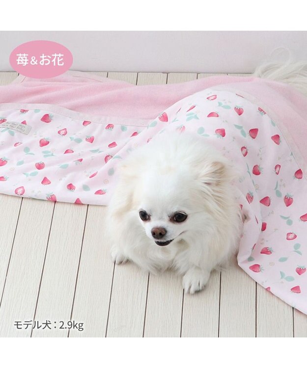 PET PARADISE ペットパラダイス クールケット 《苺＆お花柄》 小型犬 苺＆お花柄
