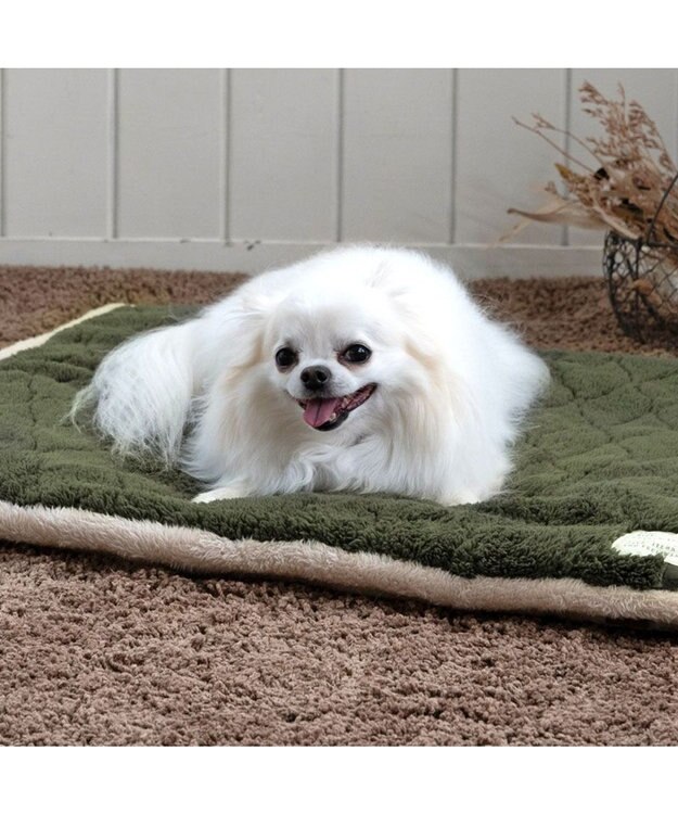 PET PARADISE ペットパラダイス 遠赤外線 マット 《オニオン柄》 角型 80×60cm 小型犬 カーキ