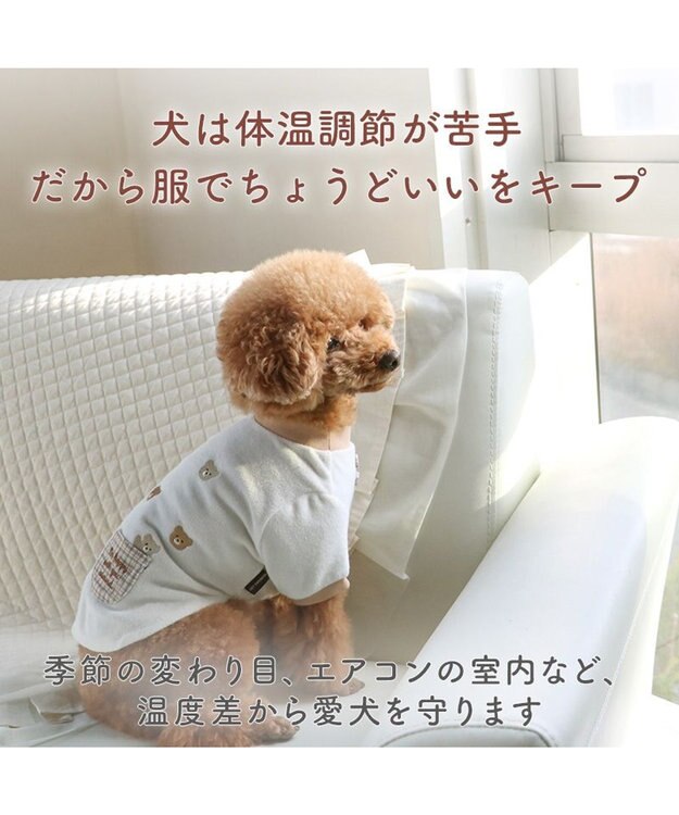 PET PARADISE ペットパラダイスくまちゃん サーモキープ Ｔシャツ 超小型犬 小型犬 ホワイト×ブラウン