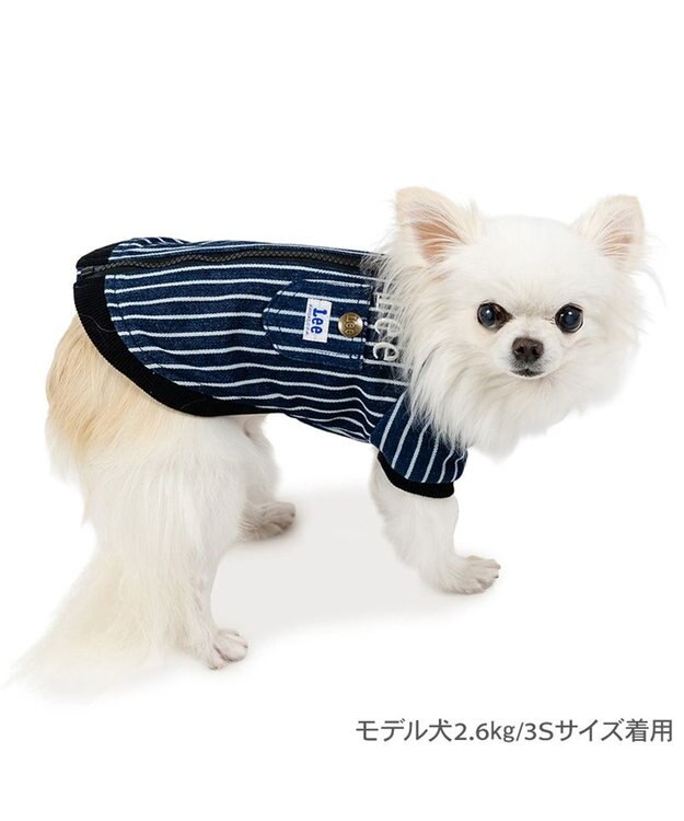 PET PARADISE Lee ブルゾン ストライプ 小型犬 ネイビー×ホワイト