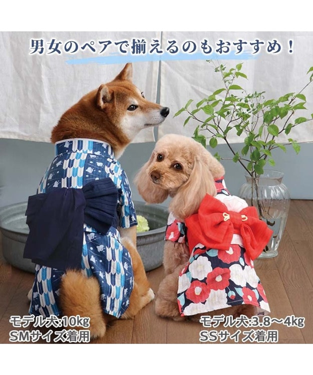 PET PARADISE 浴衣 矢絣柄 兵児帯  【中型犬】 【大型犬】 青