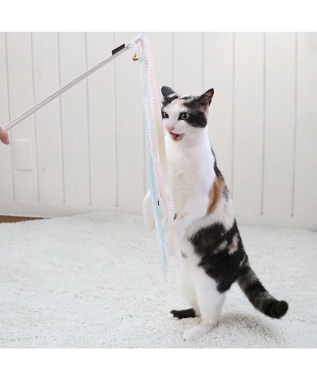 PET PARADISE  ペットパラダイス 猫じゃらし 《リボン》 リボン