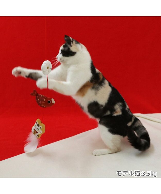 PET PARADISE ペットパラダイス 猫じゃらし  和まねき猫 まねき猫