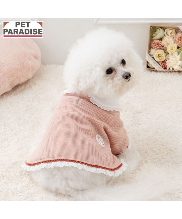 PET PARADISE ペットパラダイス お手軽 ポンチョ 《花苺》 小型犬 ピンク