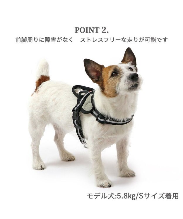 PET PARADISE ヘッドインハーネス 【ＳＳ】 オレンジ / ブルー 【小型犬】 オレンジ×グレー