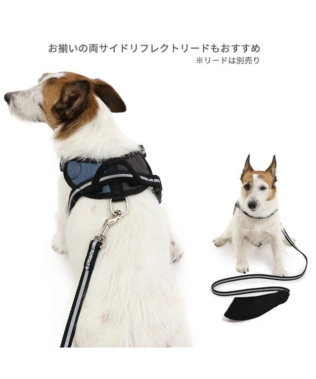 PET PARADISE ヘッドインハーネス 【ＳＳ】 オレンジ / ブルー 【小型犬】 ブルー×ブラウン
