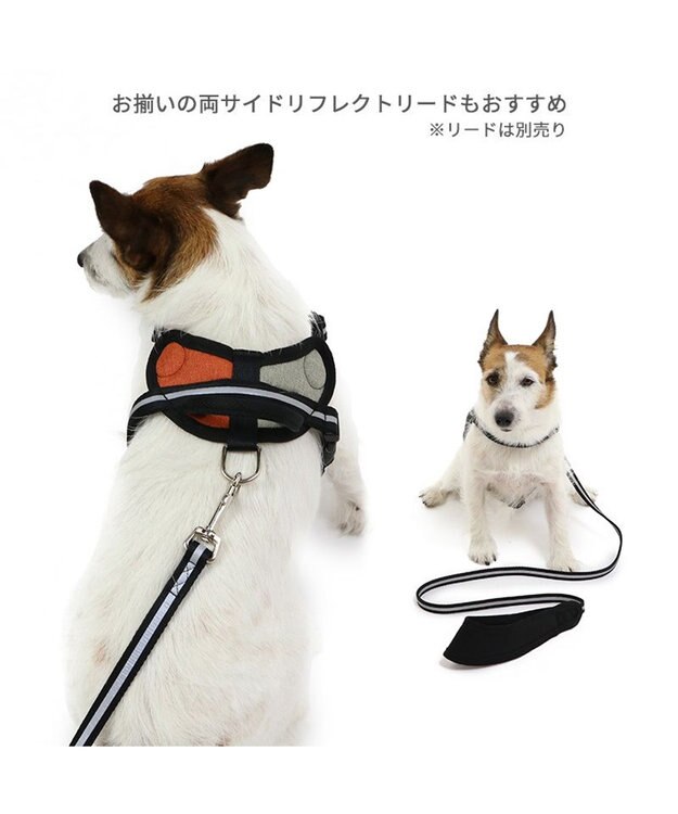 PET PARADISE ヘッドインハーネス 【ＳＳ】 オレンジ / ブルー 【小型犬】 オレンジ×グレー