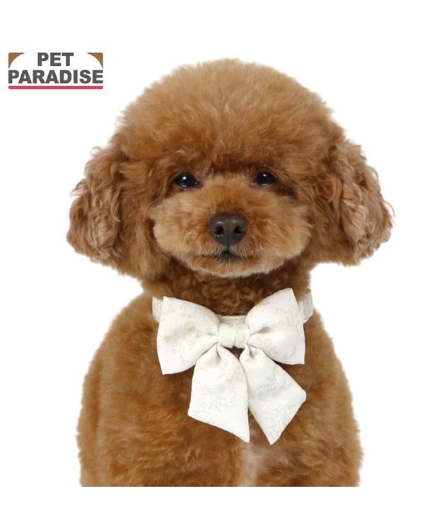 PET PARADISE ペットパラダイス 花柄りぼん 首輪 ３Ｓ 小型犬 オフホワイト