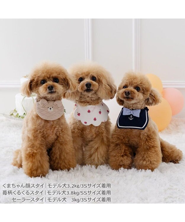 PET PARADISE ペットパラダイス セーラー スタイ 小型犬 ネイビー