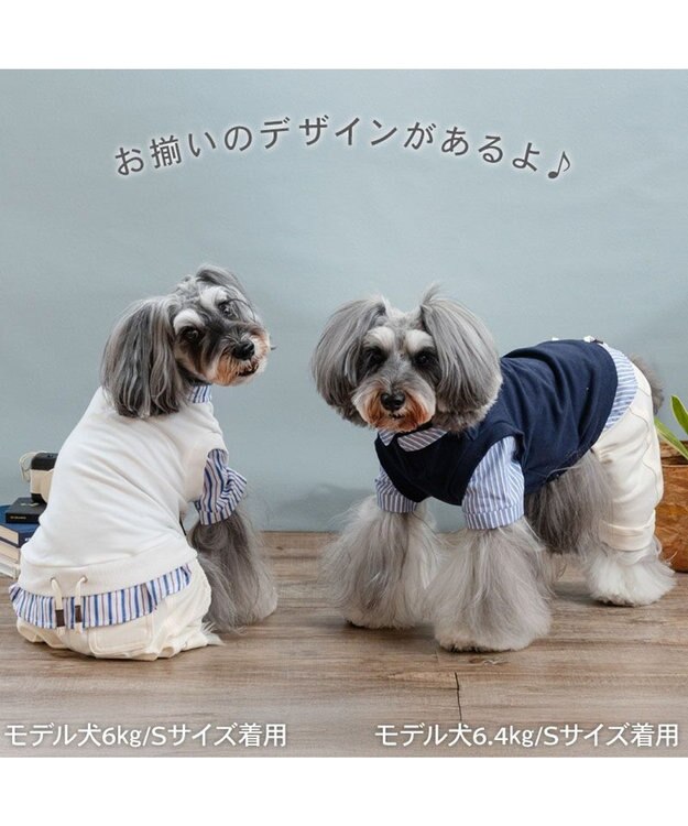 PET PARADISE ペットパラダイス ベスト パンツつなぎ 《ホワイト》 小型犬 ホワイト×ホワイト