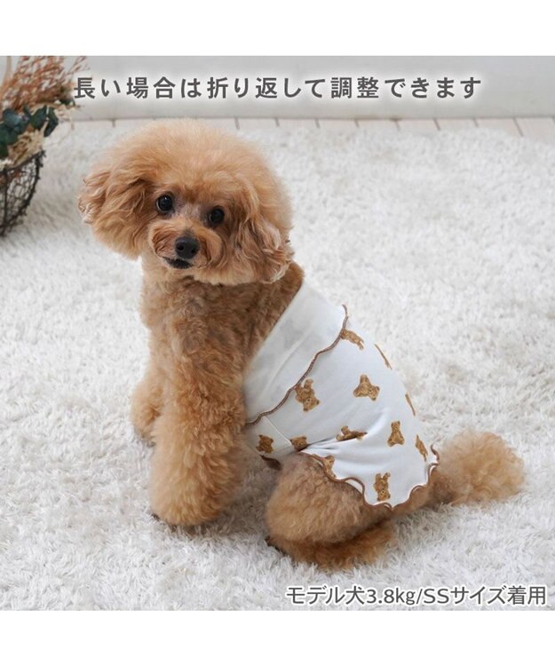 PET PARADISE ペットパラダイス くまちゃん ペティヒート  腹巻 小型犬 オフホワイト