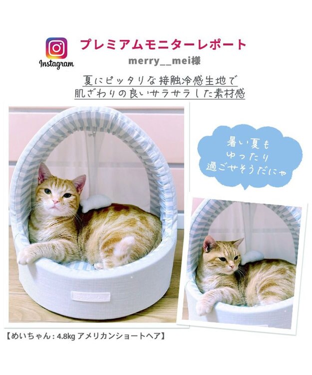 PET PARADISE 猫 ハウス クール 夏 接触冷感 ひんやり ねこハウス (40×35cm) 水色