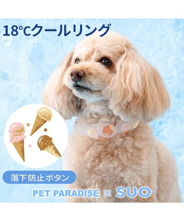 PET PARADISE ペットパラダイス １８℃ クールリング Ｓ 《アイス柄》