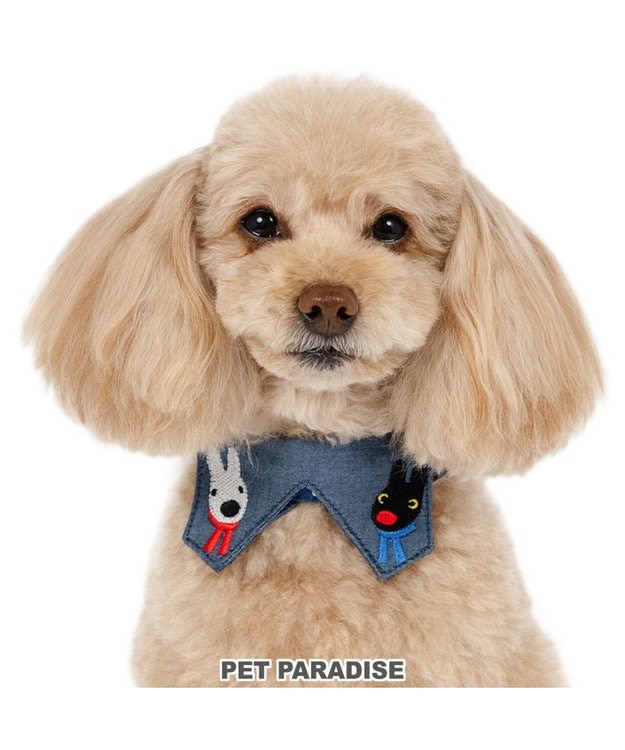 PET PARADISE リサとガスパール ハート襟付 首輪 ３Ｓ ネイビー