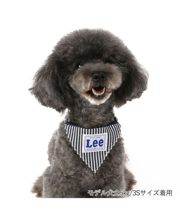 PET PARADISE Ｌｅｅ ヒッコリー 両面バンダナ付き 首輪【ＳＳ】 紺（ネイビー・インディゴ）