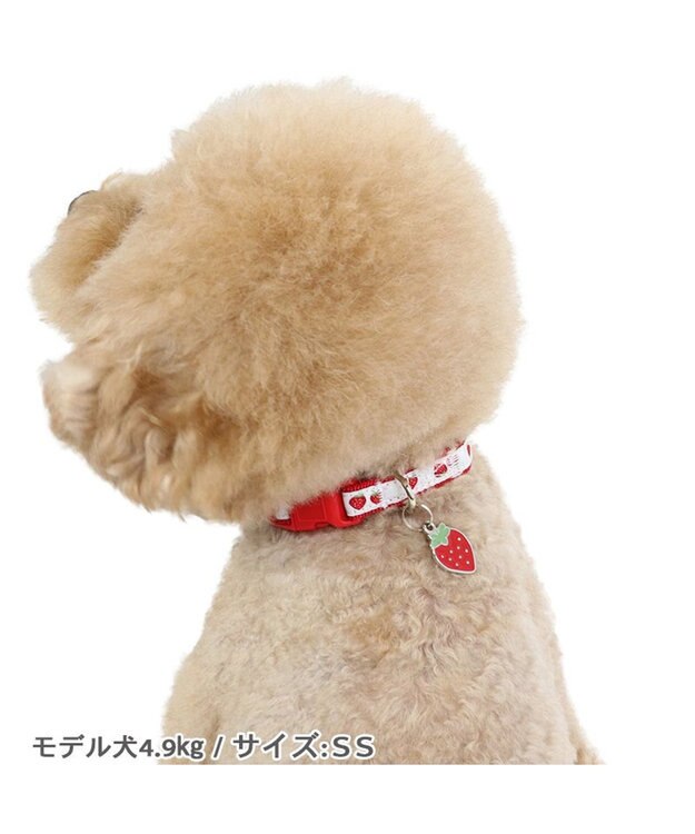 PET PARADISE ペットパラダイス 苺チャーム付き首輪 ＳＳ レッド
