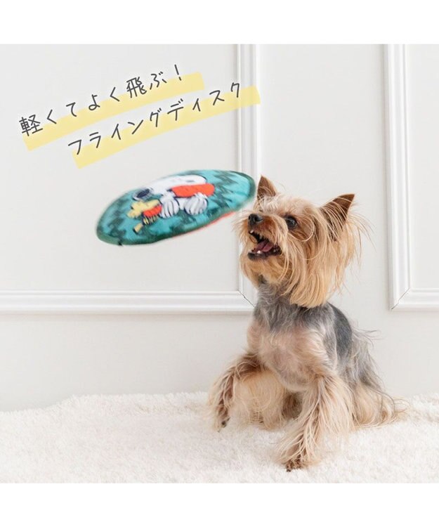 PET PARADISE スヌーピー  スイカ フロートトイ グリーン