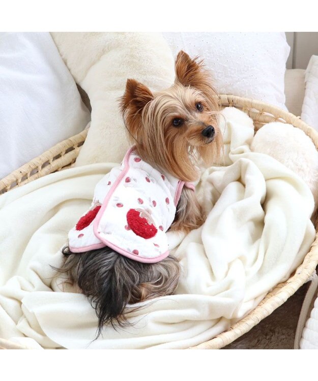 PET PARADISE ペットパラダイス ふわりと キルトベスト 《苺》 超小型犬 小型犬 苺柄