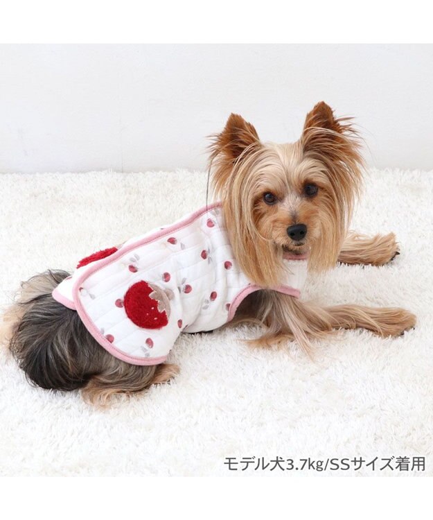 PET PARADISE ペットパラダイス ふわりと キルトベスト 《苺》 超小型犬 小型犬 苺柄