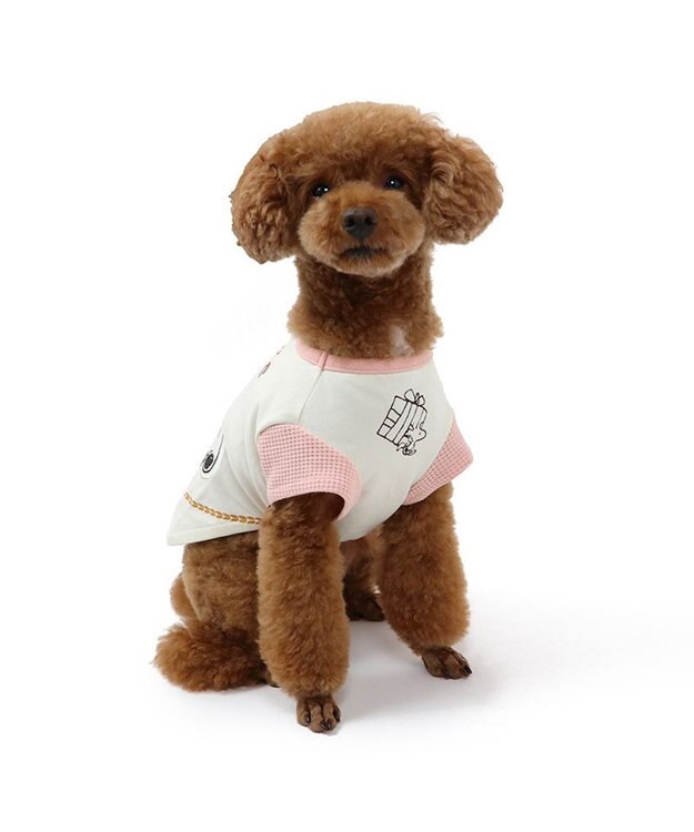 PET PARADISE スヌーピー バースデーＴシャツ 小型犬 白~オフホワイト
