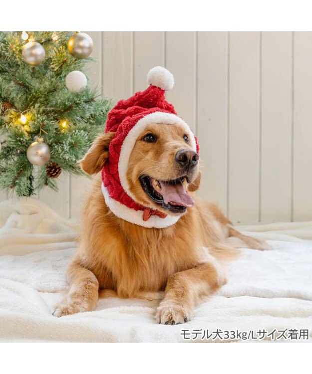 PET PARADISE ペットパラダイス サンタ 帽子 ＳＭ～Ｍ/Ｌ 2025 中型犬 大型犬 レッド