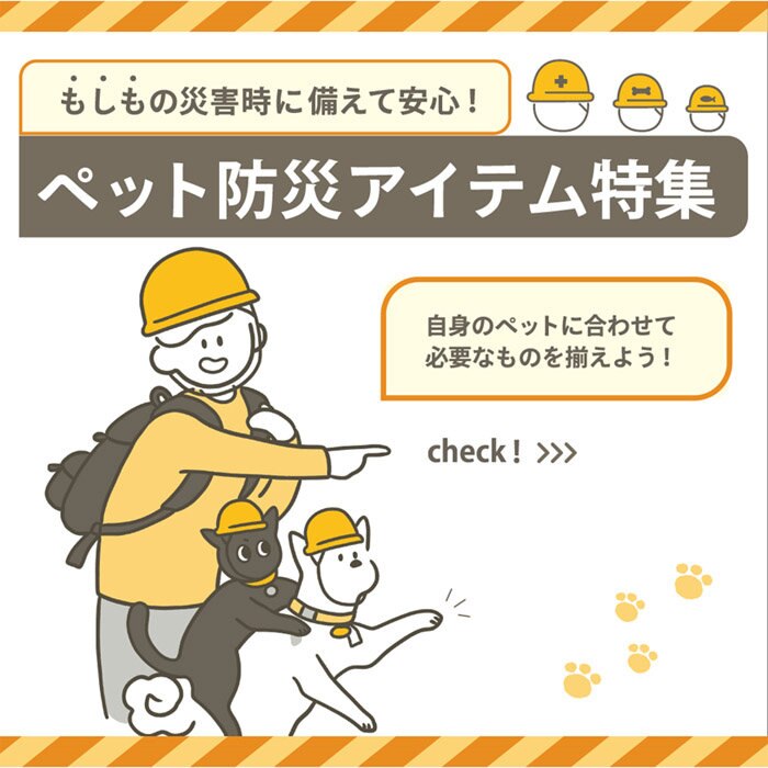 防災特集