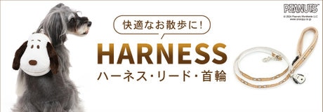 7月17日～期間限定！Thanks day 10%OFF | 【通販】雑貨とペット用品の通販サイト | マザーガーデン＆ペットパラダイス