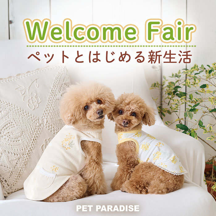 ペットと始める新生活　ウェルカムフェア♪
