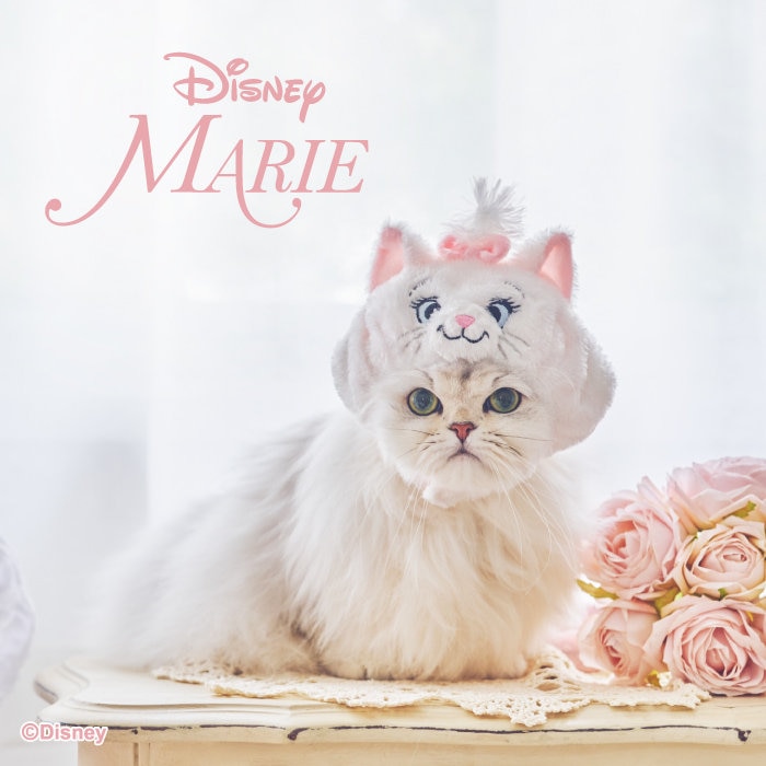 Disney ❛❛ MARIE ❜❜ 猫用ペット用品 2/16 発売